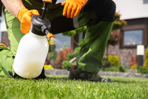 Bird Control in Colusa, CA